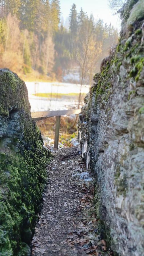 Gemuetliche Ferienwohnung Reinsfeld エクステリア 写真